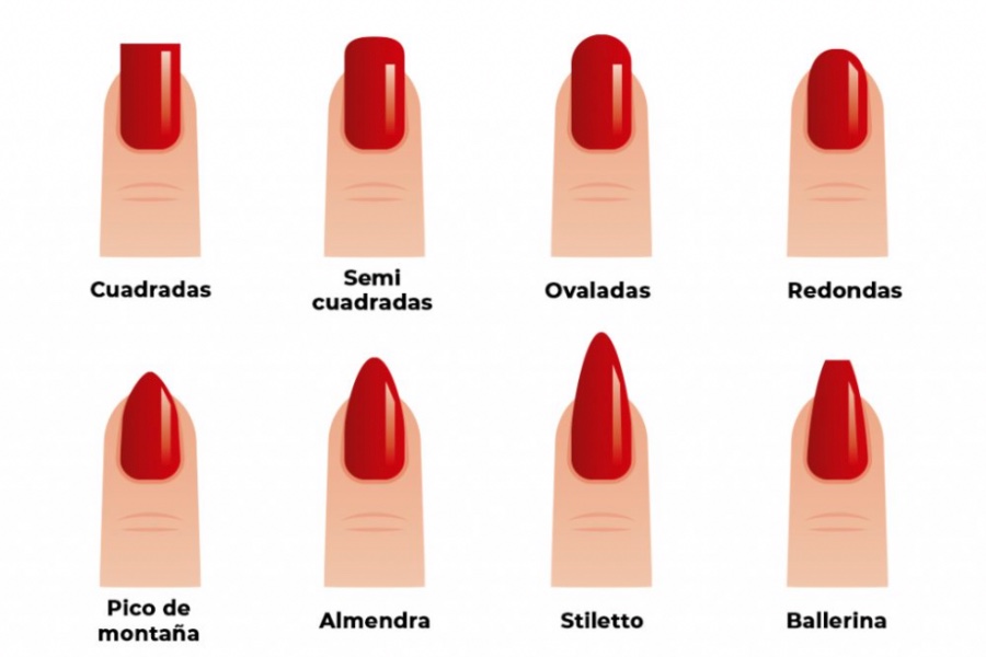 Distintas formas de la uña